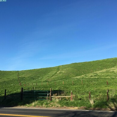 29277 Indian Reservation Rd, Porterville, CA 93257 - photo 4