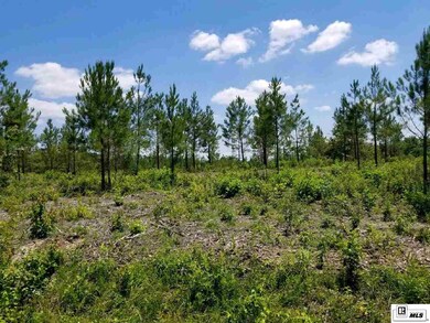 00 New Mineral Springs Rd unit TRACT 7, Calhoun, LA 71225 - photo 3