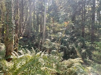 0 Melcher St unit NWM2458297, Port Orchard, WA 98366 - photo 4