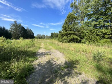 7078 Stubbs Bridge Rd, Spotsylvania, VA 22551 - photo 3