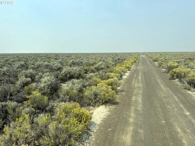 0 Christmas Valley Hwy unit 600, Christmas Valley, OR 97641 - photo 7