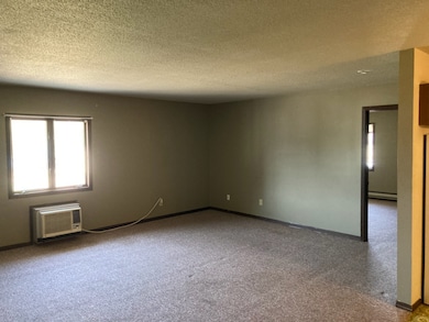 15 W Warren St unit 1, Princeton, IL 61356 - photo 2