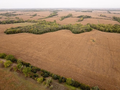 Tbd L Rd, Palmyra, NE 68418 - photo 2