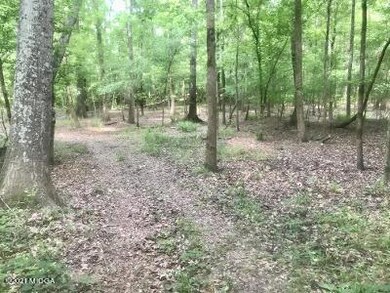 Trail