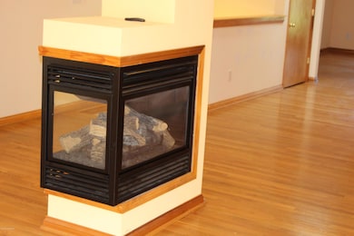 Gas Fireplace in Greatroom