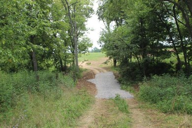 3290 Fords Mill Rd, Versailles, KY 40383 - photo 5