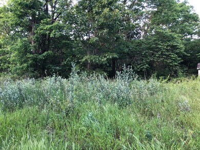 29751 State Highway 248, Jenkins, MO 65605 - photo 4