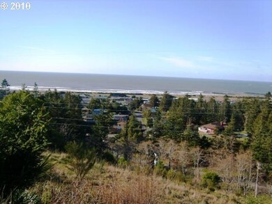 29689 Bear Mountain Rd, Gold Beach, OR 97444 - photo 4