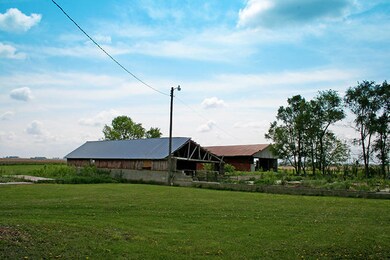 IMG_9901