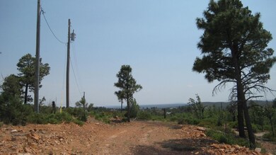 IMG_3364
