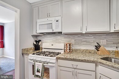 10578 Cross Fox Ln unit F1, Columbia, MD 21044 - photo 5