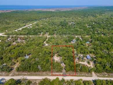 15515 Bonita Blvd, Perry, FL 32348 - photo 4