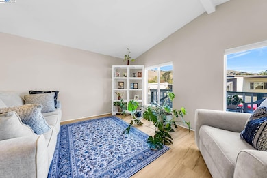 711 Old Canyon Rd unit 176, Fremont, CA 94536 - photo 6