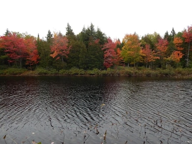 Sherwood Pond - middle frontage