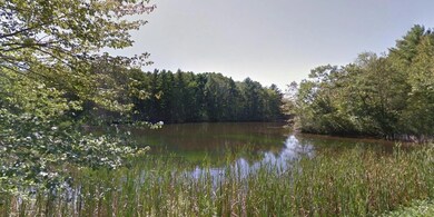 Pond across the street