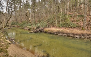 0 Creekside Ln, Mineral Bluff, GA 30559 - photo 4