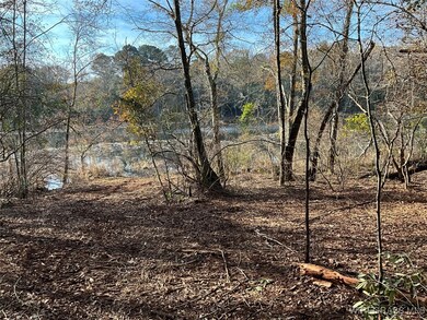 805 Lessie Culpepper Rd, Coffee Springs, AL 36318 - photo 5