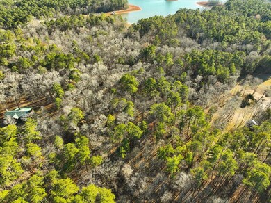 14-Hidden Harbor Rd Drone (6 of 12)
