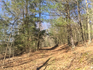 0 Coolbaugh Mountain Rd, Exeter Township, PA 18615 - photo 7