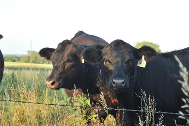 0000 154th St, Delaware, KS 66088 - photo 3