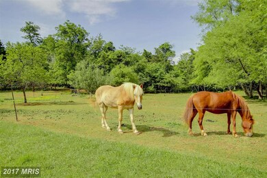 7604 Botha Rd, Bealeton, VA 22712 - photo 3