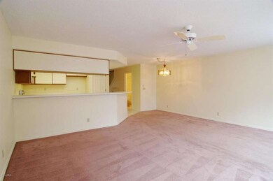 Living/Dining Room Combo