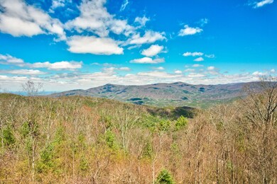 30 Georgia 52, Chatsworth, GA 30705 - photo 6