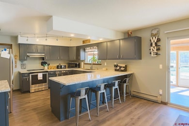 20812 Vista Grande Dr, Austin, CO 81410 - photo 5