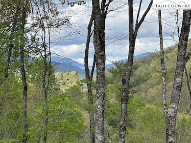 Long Range View