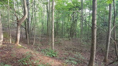Build your dream home here!