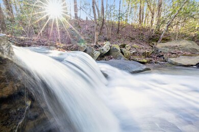 0 Hamby Ln unit 19052814, Robbins, TN 37852 - photo 6