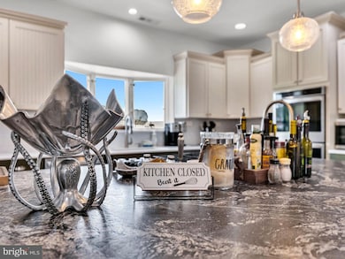 12608 Selsey Rd, Ocean City, MD 21842 - photo 6