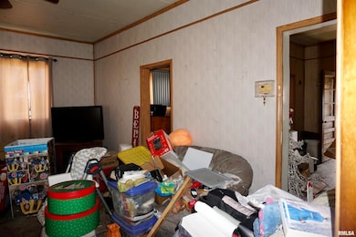 205 9th St, Colp, IL 62921 - photo 3