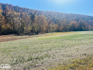 0 US Highway 11 N, Attalla, AL 35954 - photo 4