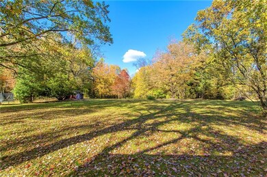 *BACK YARD FACING THE TREES BEHIND IT