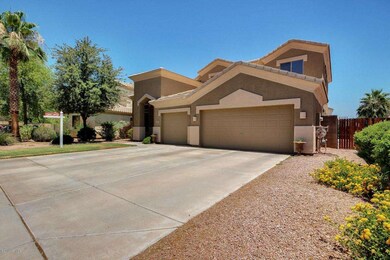 Canyon Oak-3