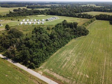 311 Tommie Moore Rd, Winnsboro, LA 71295 - photo 4