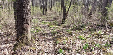 20190424_105152