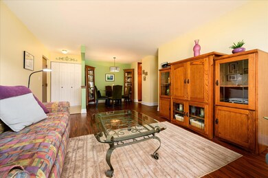 105 S Arlington Ave unit 104, Elmhurst, IL 60126 - photo 4