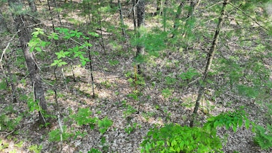 land view 1