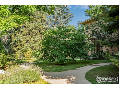 618 Alpine Ave unit 4, Boulder, CO 80304 - photo 5