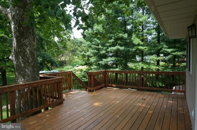 20609 Bluebird Ave, Hagerstown, MD 21742 - photo 7