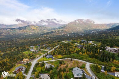 Aerials MS_93306-SMALL