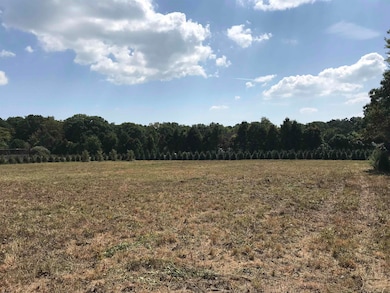 808 E Moss Mill Rd, Galloway, NJ 08205 - photo 6