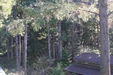 306/7 forest view