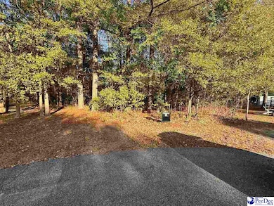 000 Fox Chase Way, Hartsville, SC 29550 - photo 2