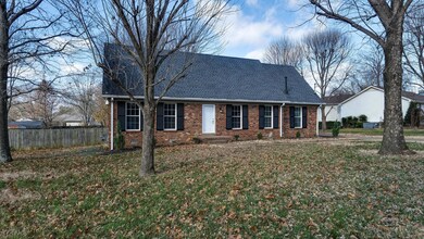 Great yard front view. Newly renovated house.