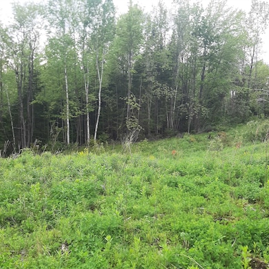 Lot 16 Oakes Rd, Columbia, NH 03576 - photo 6