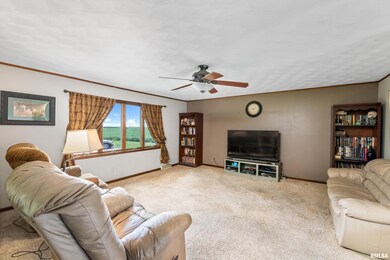 4202 Orchard Dr, Galesburg, IL 61401 - photo 4