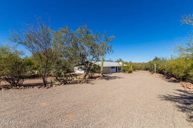07 Camino Saguaro